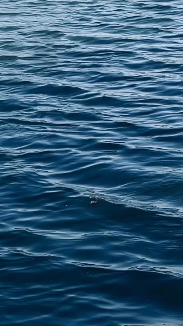 Instagram post from bartiberio. This post is in position 2.